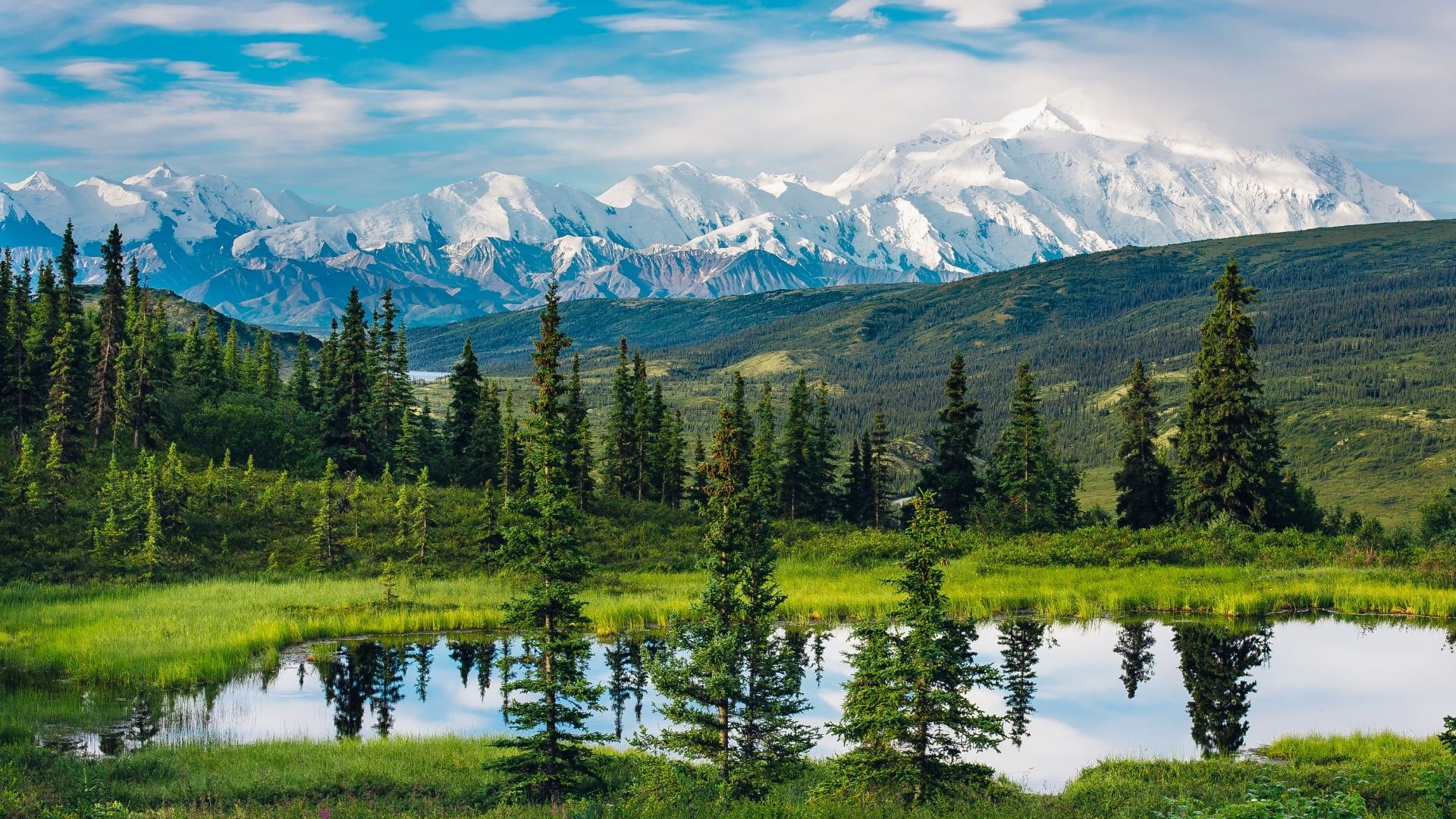 A luxurious train moving through the Canadian Rockies